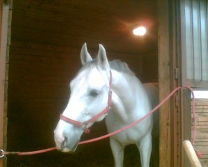 Obrazek